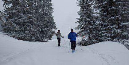 naturhotel-urlaubsfotos-winter-2013-24-bis-30-maerz bild#24