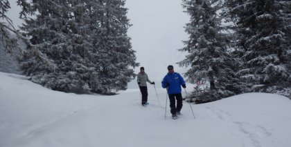 naturhotel-urlaubsfotos-winter-2013-24-bis-30-maerz bild#25