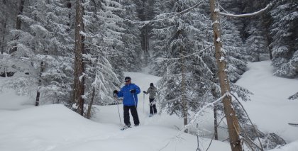 naturhotel-urlaubsfotos-winter-2013-24-bis-30-maerz bild#27