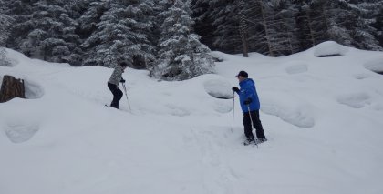 naturhotel-urlaubsfotos-winter-2013-24-bis-30-maerz bild#28