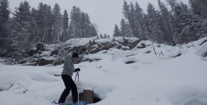 naturhotel-urlaubsfotos-winter-2013-24-bis-30-maerz bild#31