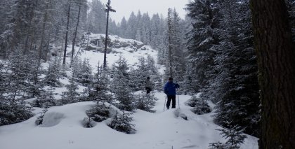 naturhotel-urlaubsfotos-winter-2013-24-bis-30-maerz bild#32