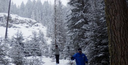 naturhotel-urlaubsfotos-winter-2013-24-bis-30-maerz bild#33