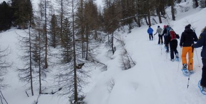 naturhotel-urlaubsfotos-winter-2013-24-bis-30-maerz bild#96