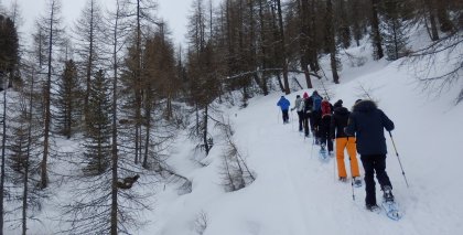 naturhotel-urlaubsfotos-winter-2013-24-bis-30-maerz bild#97