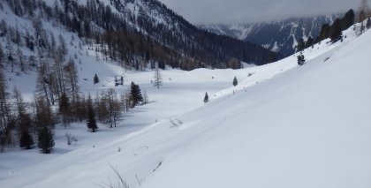 naturhotel-urlaubsfotos-winter-2013-24-bis-30-maerz bild#101