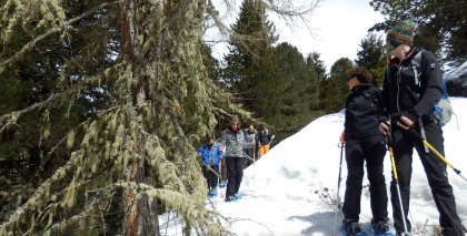 naturhotel-urlaubsfotos-winter-2013-24-bis-30-maerz bild#116