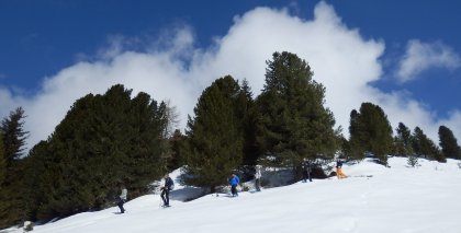 naturhotel-urlaubsfotos-winter-2013-24-bis-30-maerz bild#119
