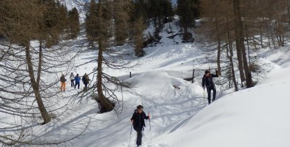 naturhotel-urlaubsfotos-winter-2013-24-bis-30-maerz bild#123