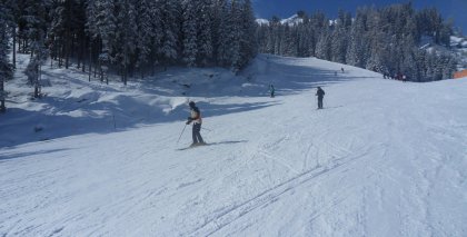 naturhotel-urlaubsfotos-winter-2013-24-bis-30-maerz bild#133