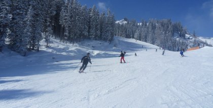 naturhotel-urlaubsfotos-winter-2013-24-bis-30-maerz bild#138