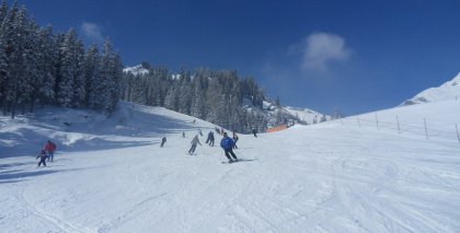 naturhotel-urlaubsfotos-winter-2013-24-bis-30-maerz bild#140