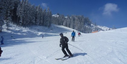 naturhotel-urlaubsfotos-winter-2013-24-bis-30-maerz bild#142