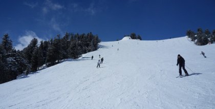 naturhotel-urlaubsfotos-winter-2013-24-bis-30-maerz bild#159