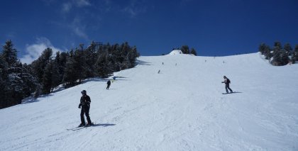 naturhotel-urlaubsfotos-winter-2013-24-bis-30-maerz bild#161