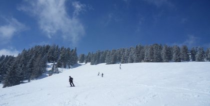 naturhotel-urlaubsfotos-winter-2013-24-bis-30-maerz bild#167