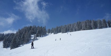 naturhotel-urlaubsfotos-winter-2013-24-bis-30-maerz bild#168