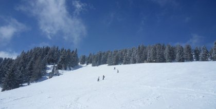 naturhotel-urlaubsfotos-winter-2013-24-bis-30-maerz bild#170
