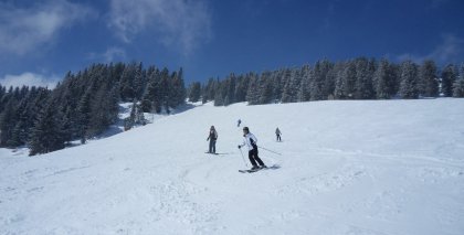 naturhotel-urlaubsfotos-winter-2013-24-bis-30-maerz bild#171
