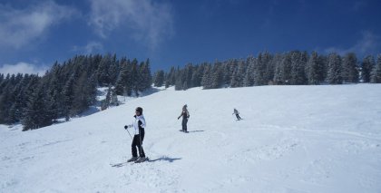 naturhotel-urlaubsfotos-winter-2013-24-bis-30-maerz bild#172